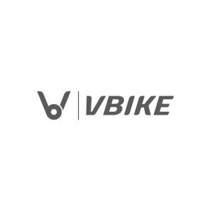 Logo VBIKE BW